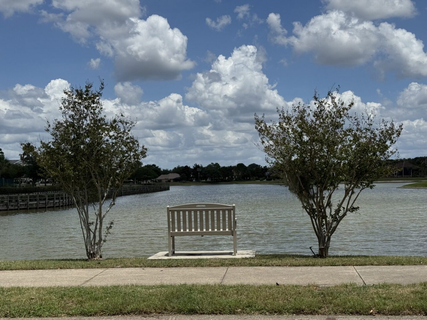 Lakes of Mount Dora #10