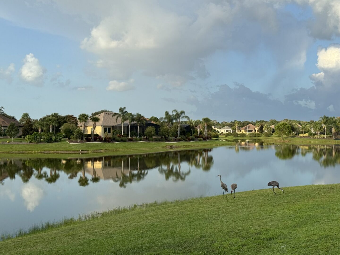Mount Dora Homes #14